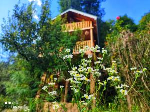 The Tree Top Treehouse Jibhi