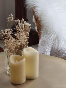 Appartements Chez Laurette - Charming apartment in historic village near Versailles : photos des chambres