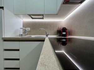 REGINA by The Blue Twins apartments Milano