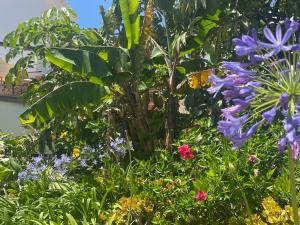 Paso del Lobo - La Casita