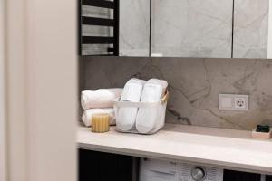 Historical City Center Apartment Zalgiris Arena