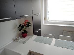 Marguerite apartment - parking including