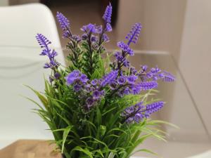 Apartamento céntrico Rincón de Ensueño Parking gratis