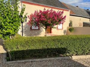 Maisons de vacances L’Echappee belle : photos des chambres