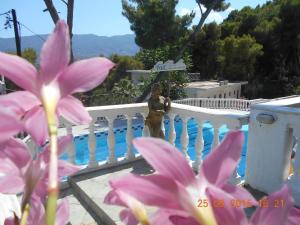 Mina Apartments Poros-Island Greece