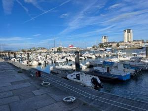 Appartements - NEW - Le CherBlue - WiFi / Netflix : photos des chambres