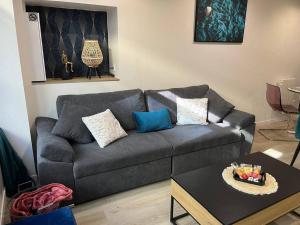 Appartements - NEW - Le CherBlue - WiFi / Netflix : Appartement 1 Chambre