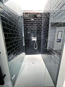 STUNNING AND SPACIOUS - 1BR PENTHOUSE