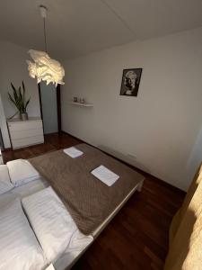 Murano Apartaments Business