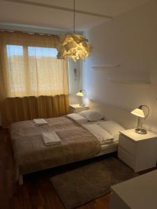 Murano Apartaments Business