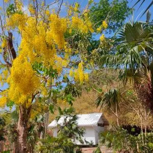 Animal Paradise - Archibolds