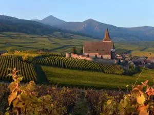 Charmant appartement rénové pour 4 pers avec terrasse à Hunawihr - FR-1-744-14 - 于纳维