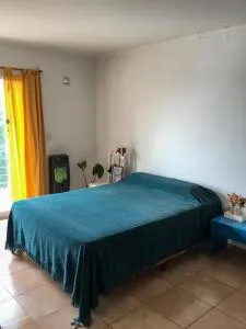 Casa Puebla - La Picada