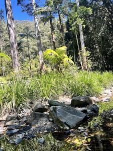 Oasis of Hope - Guest Wing