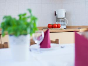 Apartments Villa Brioni II