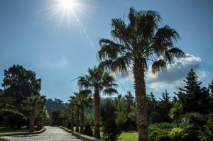 Leone Luxury Villas Zakynthos Greece