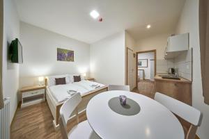 Apartment with Balcony room in Pension Varta