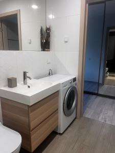 Kaunas City Center Apartment