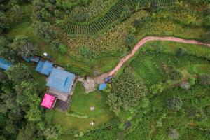 SaffronStays Kasauli Estate Royalty - 80-year-old 5BR heritage home with lawns, scenic views & BBQ in Kasauli hills