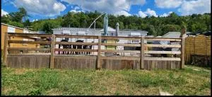 San gavino - 塞威恩