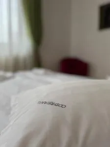 Vila Codreanu - 波亚纳默鲁卢伊