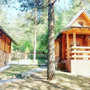 Vila Tatjana-Zlatibor