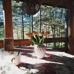 Vila Tatjana-Zlatibor