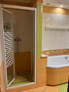 Mieszkanko w centrum