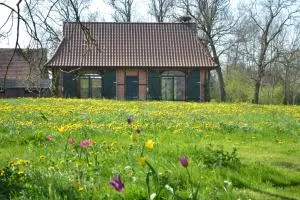 Remise unter dem Storchennest - Лемвердер
