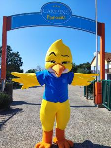 Campings Camping Paradis Les Galets de la Molliere : photos des chambres