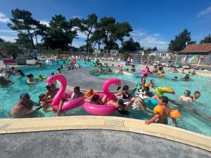 Campings Camping Paradis Les Galets de la Molliere : photos des chambres