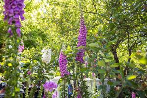 Byng Street Garden Loft