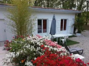 Chalet à louer près de Dax - Mées