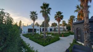 Maisons d'hotes Maison Blue Palm Aix en Provence : photos des chambres