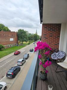 Angielska Grobla 5 Familia