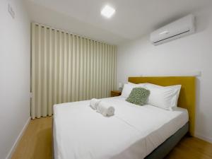 Vibrant Host-Campo 24 Agosto