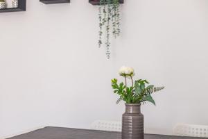 Sleeptubal Moderne Accommodatie