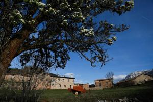 Preciosa Casa Cal Jaumet