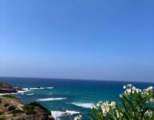 Villa Wanda - Seafront apartment on Cala Burantino with private cove img7