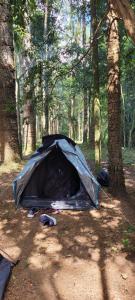 Cachoeira da Gomeira Hospedaria Camping