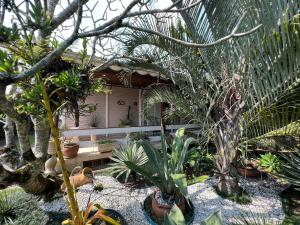 Casa de Praia a 150m da praia com Conforto Total Ar-Condicionado, Enxoval, Wi fi e Piscina Privativa