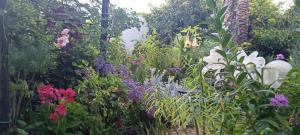 Casa Flora Garden Studio (Gite)