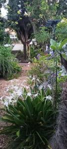 Casa Flora Garden Studio (Gite)