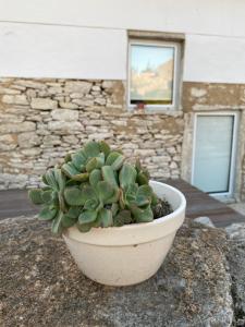 Casas da Chainça - Turismo de Natureza