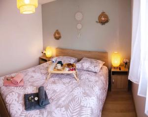 Maisons de vacances Casa Relax spa : photos des chambres