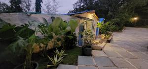 Wild Orchid 5BHK Villa & Eco Cottages in Sancoale Valley