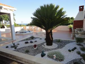 Soko Apartments & Rooms