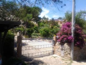 La Fonte dell'ulivo 3 img23