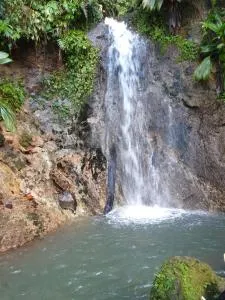 chantal EMERANCIENNE - Roussel