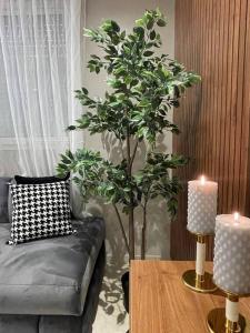 Chic & cosy appartement au centre d’Oujda